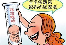 专业供卵代怀服务